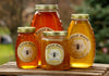 Local Buzz Bees